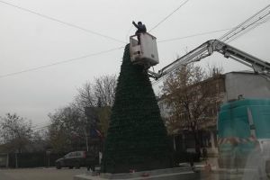Bradul de Crăciun de la Cudalbi, pus peste monumentul eroilor