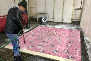 Covoare impecabile şi parfumate fără efort – La Clean Carpet în Șelimbăr
