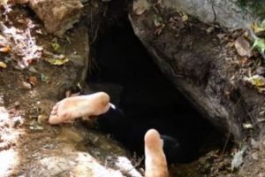 INCREDIBIL! Ce a găsit un bărbat într-o groapă, săpată în pământ! Poate fi DESCOPERIREA SECOLULUI - VIDEO