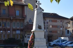 Pro memoria. Monumentul eroilor din Baru Mare şi Petros