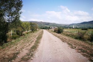 Statul, jucător pe piaţa imobiliară. Cu cât vinde Fiscul terenurile datornicilor (FOTO)