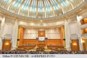 Camera Deputaţilor: Majorarea la 200 lei a cuantumului alocaţiei pentru copii, respinsă