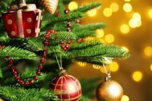 Manifestări cultural-artistice specifice Sărbătorilor de Iarnă 2018, la Sighişoara