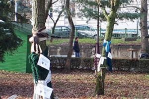 Eveniment INEDIT în centrul Aradului! Ce se ÎNTÂMPLĂ de la ora 14 la 16