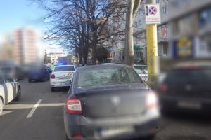 Politia Locala Constanta. Peste 250 de amenzi, aplicate intr-o zi. Ce nereguli au constatat agentii