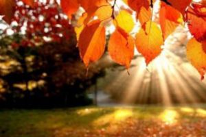 VREMEA se schimbă radical. Nu ignoraţi ANUNȚUL METEOROLOGILOR! Ce se va întâmpla în următoarele zile