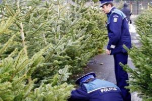 Atentie! Politistii ploiesteni controleaza 