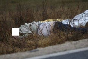 ANGAJAT la Primăria BĂBANA, MORT după ce a tăiat CRENGI USCATE!