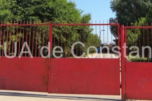 Primaria Constanta, peste trei milioane de lei puse la bataie pentru cainii fara stapan. Se cauta medici veterinari si hingheri