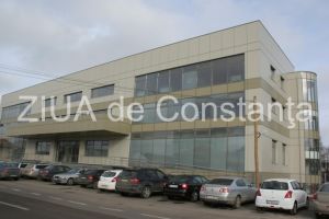 Declaratie de avere - Cecilia Violeta Raduinea, director general la Directia generala Informatizare si monitorizare jocuri de noroc din cadrul ONJN (documente) 