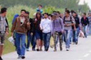 Judeţul Caraş-Severin, în top 3 naţional… la străini depistaţi în ilegalitate!