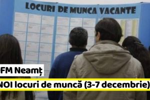 AJOFM Neamţ: 48 NOI locuri de muncă, comunicate în săptămâna 3-7 decembrie