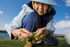 Sfaturi de la japonezi pentru a trăi cu 15 ani mai mult