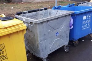 Descoperire MACABRĂ într-un cartier arădean! Ce au găsit localnicii la tomberon (GALERIE FOTO – ATENŢIE, imagini cu IMPACT EMOŢIONAL)