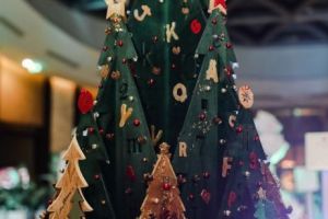 Cât mai costă un brad de Crăciun ? 137.000 euro