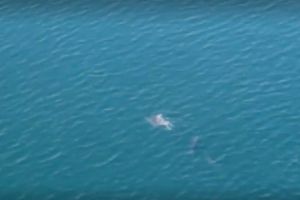 Imagini impresionante surprinse pe Marea Neagra, in Portul Constanta Sud Agigea (video)