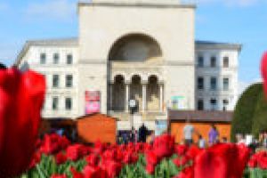 Ediţia TimFloralis 2019, programată chiar de Florii. Autorităţile vor să sincronizeze festivalul cu… lalelele!