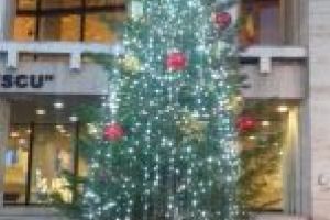 START LA ÎMPODOBIT  BRĂDUȚUL CU SURPRIZE