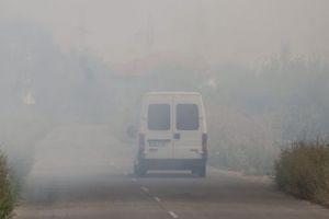 Cod Galben de ceaţă în Timiş