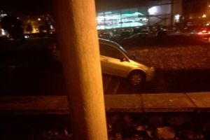 Imagini incredibile! Cum a reusit un conducator auto sa isi parcheze“ masina in apropiere de lacul Tabacarie din Constanta (galerie foto) 