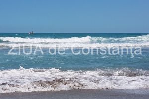 Licitatie la ABADL pentru monitorizarea biodiversitatii si calitatii apei in cadrul proiectului Reducerea eroziunii costiere, faza II“ (document)