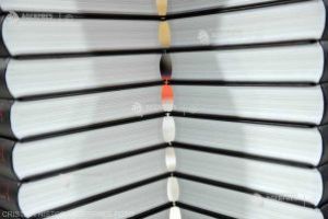 Steliana Toma, despre cartea „Educaţia la Centenar”: Volumul vorbeşte deopotrivă despre trecut, prezent şi viitor