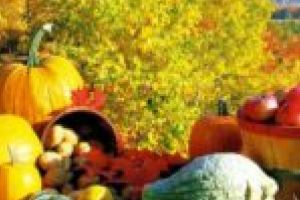 Parcul Tricolorului, în culori de toamnă! La Zilele Recoltei!