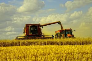 Grupul PPE din Parlamentul European rămâne în centrul vieţii agricultorilor din România şi nu numai!