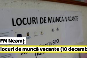 AJOFM Neamţ: 363 locuri de muncă vacante la data de 10 decembrie 2018