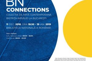 ”BN Connections” – Colecţia de artă contemporană Bistriţa-Năsăud la Bucureşti
