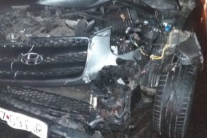 Urs accidentat mortal pe DN11, între Braşov şi Prejmer. Posibil să fie ursul urmărit în Braşov zilele trecute