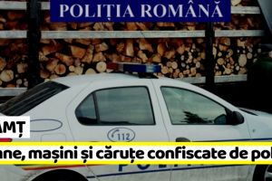 Neamţ: Lemn de peste 1.600.000 de lei, 7 maşini şi 10 căruţe confiscate de poliţişti