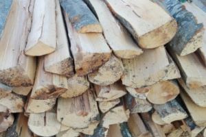 Material lemnos abandonat, confiscat de poliţişti