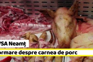 DSVSA Neamţ: Informare despre carnea de porc şi toxinfecţiile alimentare