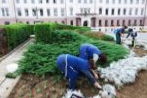 Smart city de Banat! Lugojul vrea să devină oraş inteligent, deşi e plin de gropi şi gunoaie