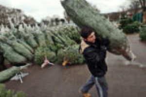 Reşiţenii, cei mai cuminţi cărăşeni?!