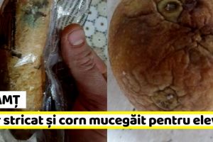 Neamţ: Măr stricat şi corn mucegăit pentru elevi (FOTO)