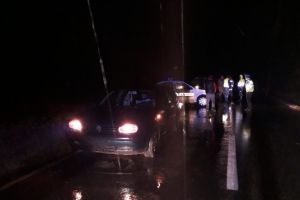 VIDEO – Urs lovit de o maşină pe DJ106 la Bârghiş