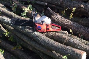 Furt de lemne de foc sancţionat cu amendă drastică