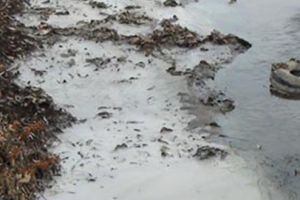 Sancţionat de jandarmi pentru poluarea Crişulului Alb cu borhot