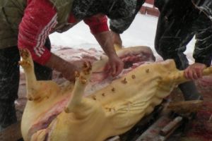 Cât costă examenul trichineloscopic la stat? Verificarea cărnii de porc, 11 lei