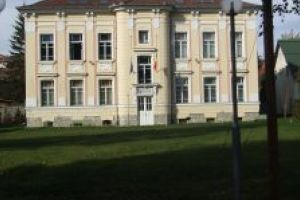  Liceul de Arte „Plugor Sándor” desfăşoară un proiect ce vizează creşterea procentului de promovabilitate a bacalaureatului în rândul elevilor