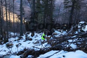 Anchetă la Obştea Peştişani