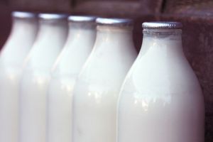 După patru decenii de împliniri măreţe, Industrializarea Laptelui Bistriţa îngropată definitiv