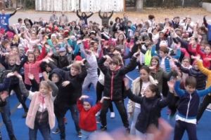 Clubul Sportiv Phoenix Constanta: Aventura Motoria Fest s-a bucurat de un real succes 