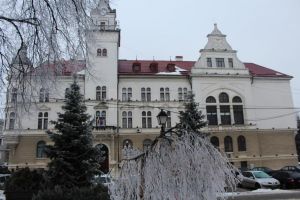 Dezbaterea publică Suceava accesibilizată-Accesibilizarea stradală a municipiului Suceava, ...