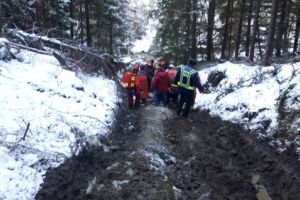 Alerta la pompierii militari. Un arbore a cazut peste un barbat. A intervenit SMURD -ul 