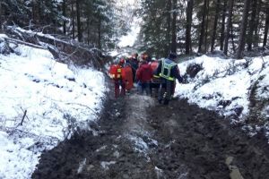 Bărbat rănit după ce un copac a căzut peste el