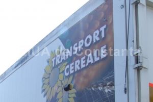 Societatea Vigrains din Constanta construieste o anexa agricola la Pestera. Iata ce suprafata va avea (document)