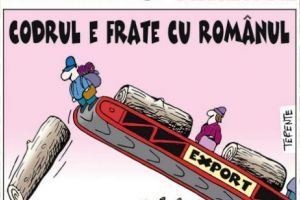 Părerea lui Terente